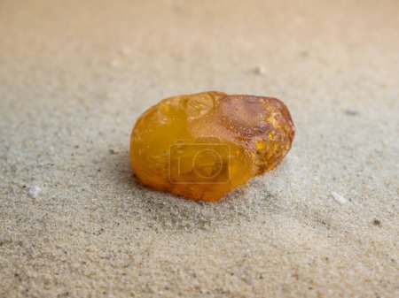 Amber lies in the sand on the North Sea