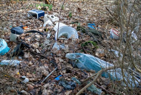 illegal dumping in a forest