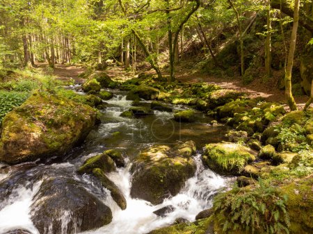 Bergfluss fließt in geheimnisvollen Wald, Vogtland Triebtal