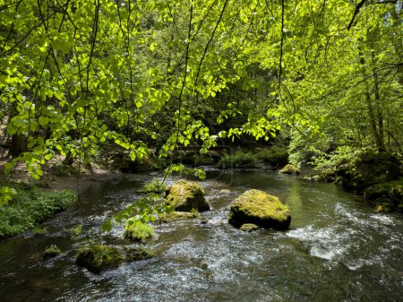 Bergfluss fließt in geheimnisvollen Wald, Vogtland Triebtal