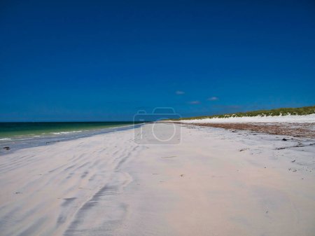 Photo for Windswept white sand between the sea and the machair on a deserted beach on the island of South Uist in the Outer Hebrides, Scotland, UK. Taken on a clear sunny day in summer with a cloudless blue sky. - Royalty Free Image