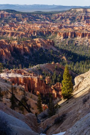 Téléchargez les photos : Formations rocheuses et hoodoos de Under the Rim Trail dans le parc national de Bryce Canyon en Utah au printemps. - en image libre de droit