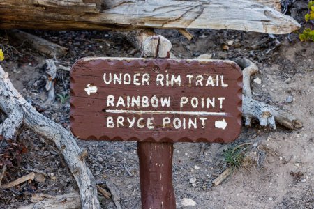 Téléchargez les photos : Panneau indiquant la direction de Under Rim Trail, Rainbow Point et Bryce Point dans le parc national de Bryce Canyon en Utah au printemps. - en image libre de droit