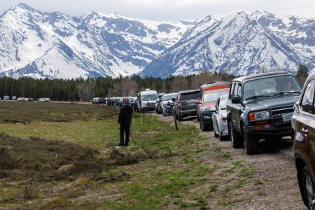 Photo for Colter Bay Village, Wyoming, USA  - May 17 2023: Vehicles and photographers near Pilgrim Creek in Grand Teton National Park waiting for the famous grizzly bear 399 to come out of the forest. - Royalty Free Image