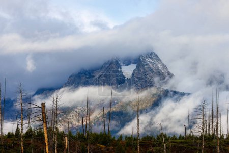 Photo for Mount Moran and Skillet Glacier in Grand Teton National Park on a cloudy and foggy day - Royalty Free Image