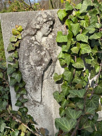 Lápida en el cementerio público cubierta de hojas