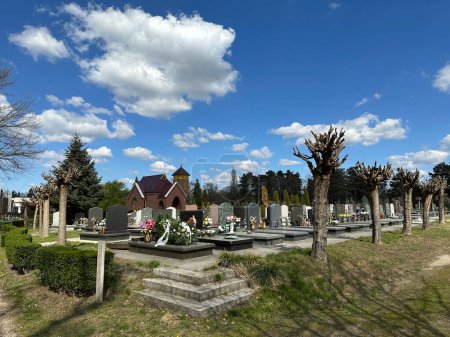 Umgestürzter Baum auf öffentlichem Friedhof