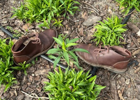 Téléchargez les photos : Paire perdue de chaussures en cuir marron sur le sol - en image libre de droit