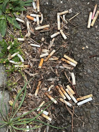 Colillas de cigarrillos en la calle como basura