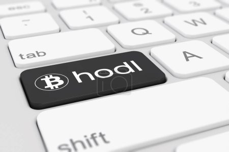 3d render of a white keyboard of a computer with a black key and the bitcoin logo as well as the text hodl - business concept.