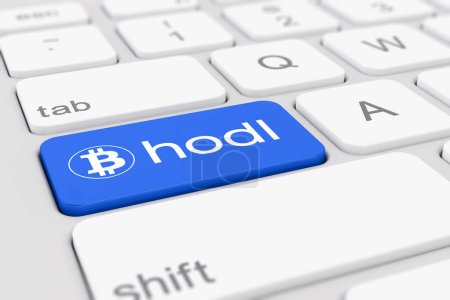 3d render of a white keyboard of a computer with a blue key and the bitcoin logo as well as the text hodl - business concept.