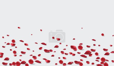 Ilustración de Caída pétalos de rosa Vector ilustración. pétalos de rosa roja en falso transparente 4k - Imagen libre de derechos