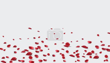 Ilustración de Caída pétalos de rosa Vector ilustración. pétalos de rosa roja en falso transparente 4k - Imagen libre de derechos