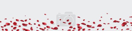 Ilustración de Fondo de pétalos de rosa aislados sobre un fondo blanco transparente. Fondo de San Valentín. Ilustración vectorial - Imagen libre de derechos