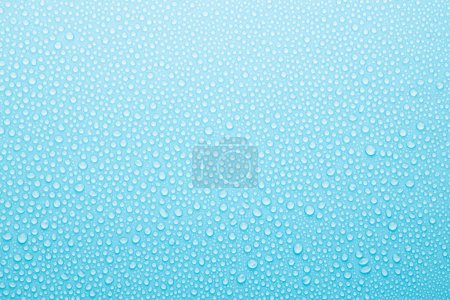 Water drops on soft light blue background as elegant fresh pattern with tiny shiny round drops, top view.