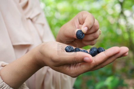 Photo for Women eating blue berry fruit outdoor , - Royalty Free Image