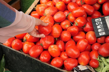 Photo for Women hand shopping tomato selling at farmers market , - Royalty Free Image