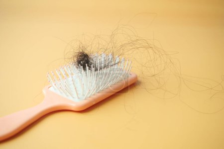 Téléchargez les photos : Une brosse avec des cheveux perdus - en image libre de droit