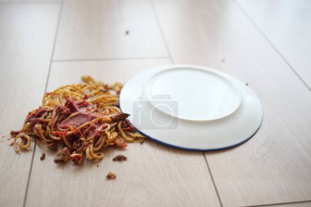 Espaguetis y salsa derramados en el suelo..