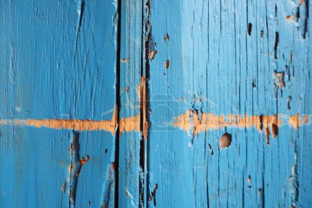 Photo for An electric blue wooden wall with peeling paint adds a colorful and vibrant touch to the room. The azure hue contrasts beautifully with the natural wood grain - Royalty Free Image