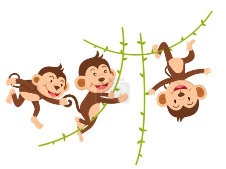 Illustration for The monkey hangs on a branch isolated vector illustration - Royalty Free Image