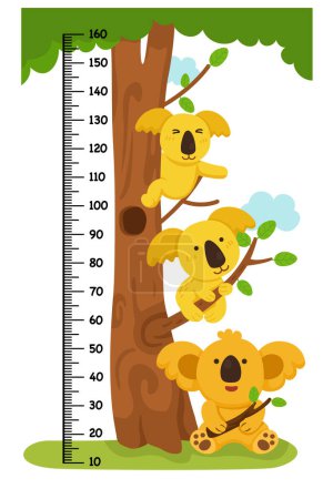 Illustration for Meter wall with koala bear vector illustration - Royalty Free Image