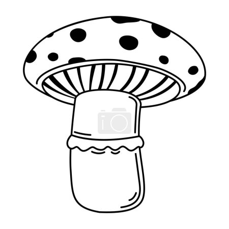 Ilustración de Ilustración de hongos dibujados a mano, vector - Imagen libre de derechos