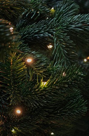 Foto de Primer plano de la decoración del árbol de Navidad por la noche - Imagen libre de derechos