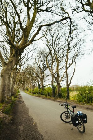 Photo for Bicycle stand by dark hedges, famous travel destination in northern ireland. Bicycle touring in europe. Ecological travel - Royalty Free Image