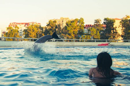 Photo for Female tourist in pool watch dolphin jump to water in dolphinarium in open air pool in Batumi - Royalty Free Image