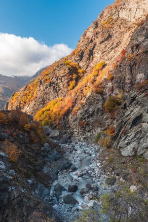 Foto de River in a mountain gorge in autumn season - Imagen libre de derechos