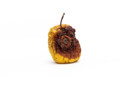 Photo for Shriveled rotten withered apple on white - Royalty Free Image