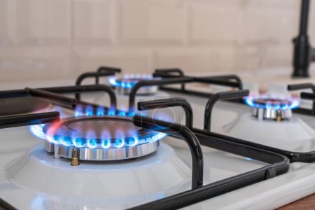Photo for Closeup shot of blue flame from domestic kitchen stove. Gas cooker with burning propane. Industrial resources and economy concept. Gas heating in cold winter - Royalty Free Image
