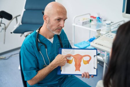 Foto de Un trabajador médico serio se sienta frente a una mujer mientras que en sus manos hay un diagrama impreso de los órganos del sistema reproductivo - Imagen libre de derechos