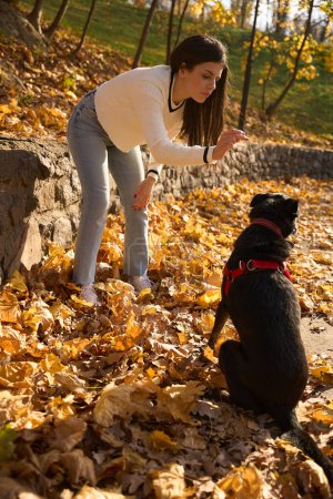 Téléchargez les photos : Jeune femme calme se tient à côté de son chien parmi les feuilles jaunes tombées - en image libre de droit