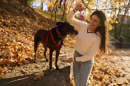 Téléchargez les photos : Femme joyeuse jouant avec un vieux chien, dans le contexte d'un paysage d'automne - en image libre de droit