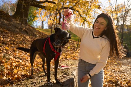 Téléchargez les photos : Joyeux jeune femme joue avec un chien triste, ils sont dans le parc - en image libre de droit