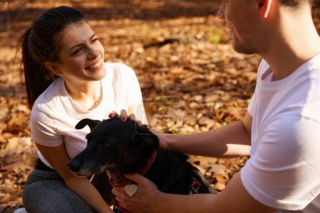 Photo for Pretty woman and her boyfriend petting their dog, there are a lot of fallen oak leaves in the park - Royalty Free Image