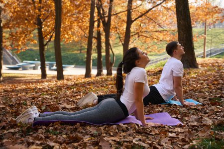 Photo for Slender female student and her friend are doing yoga on karimats in the park, they are wearing sportswear - Royalty Free Image