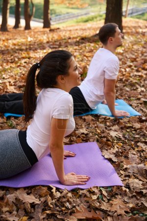 Photo for Pretty female student and her friend are doing stretching exercises on karimats in the park, they are wearing sportswear - Royalty Free Image