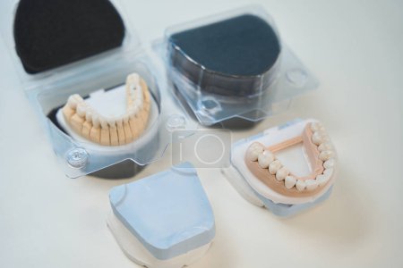 Foto de Primer plano de dos modelos dentales humanos adultos con dientes inferiores y superiores - Imagen libre de derechos