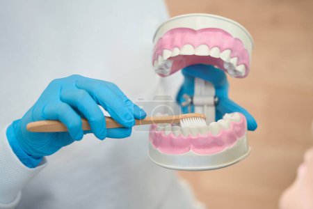 Foto de Médico higienista sostiene un modelo de la dentición con frenos en las manos, la educación efectiva de los pacientes en la higiene bucal - Imagen libre de derechos