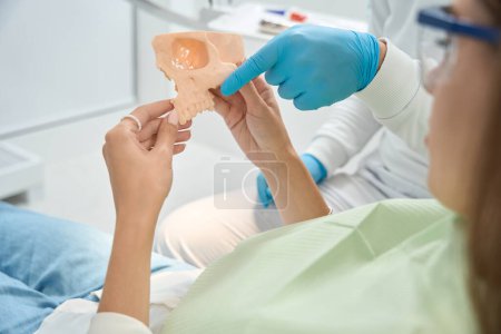 Foto de Foto recortada del estomatólogo apuntando a la dentición anterior superior en el modelo maxilar en manos de mujer - Imagen libre de derechos