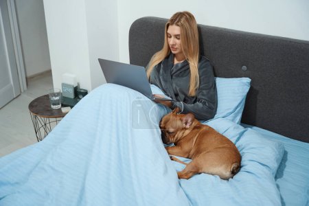 Téléchargez les photos : Calme concentré femelle assis dans le lit avec son animal de compagnie et dactylographier sur ordinateur portable - en image libre de droit