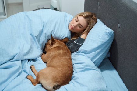 Téléchargez les photos : Dame tranquille enveloppée dans une couette dormant dans un lit confortable avec son chien - en image libre de droit