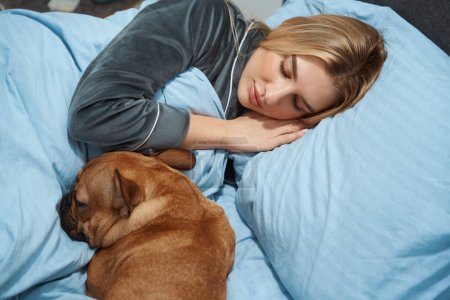 Photo for Calm lady wrapped in blanket sleeping in comfortable bed with French bulldog - Royalty Free Image
