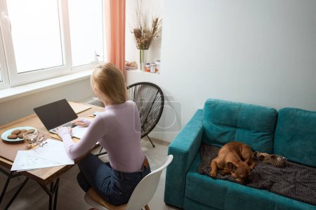 Foto de Vista trasera de la mujer sentada en la mesa de la ventana escribiendo en el portátil mientras su perro duerme en el sofá - Imagen libre de derechos