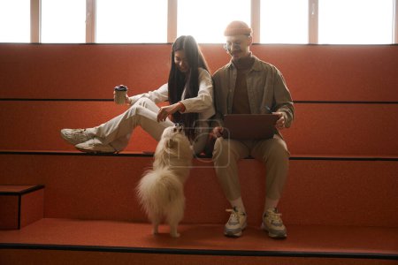 Photo for Smiling woman sitting on bench beside pleased guy while playing with white Pomeranian - Royalty Free Image