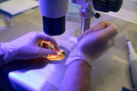 Téléchargez les photos : Technicien biolaboratoire ajoutant des échantillons après avoir étudié sur éprouvette spéciale pour un meilleur stockage, génétique et reproductologie - en image libre de droit