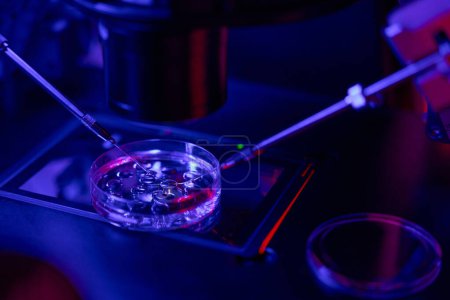 Nahaufnahme-Mikromanipulator, der weibliche Zelle mit Spermatozoen auf Zellkulturschale befruchtet, ivf-Verfahren